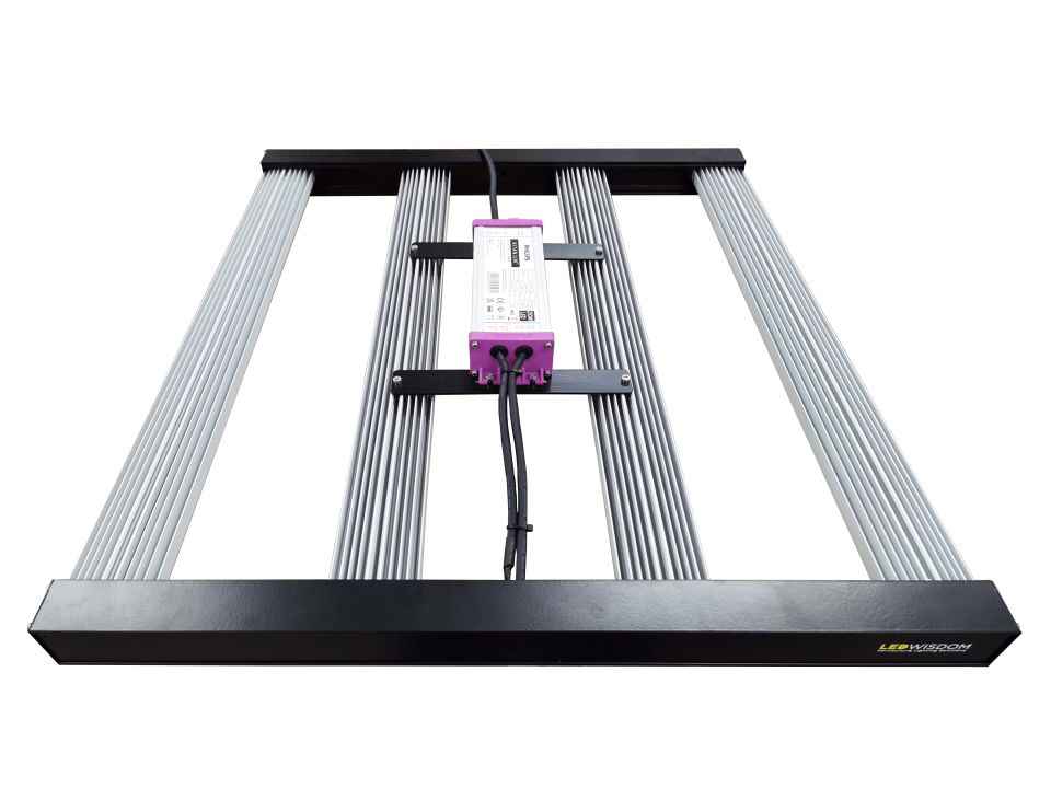 LEDWisdom Clover 240W LED Bitki Yetiştirme Lambası